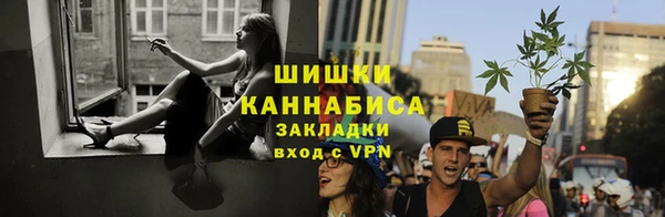 дурь Новодвинск