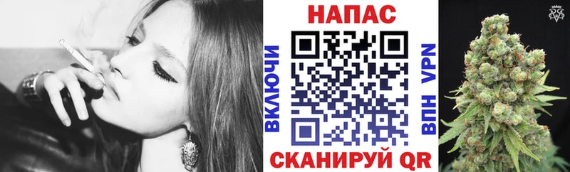 Конопля гибрид  цена   Кириллов 